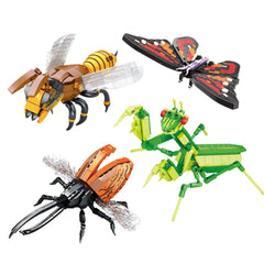 Chonky Crawlies